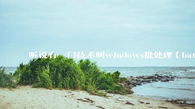听说有一门技术叫windows批处理（bat），请问它有什么现实用途？